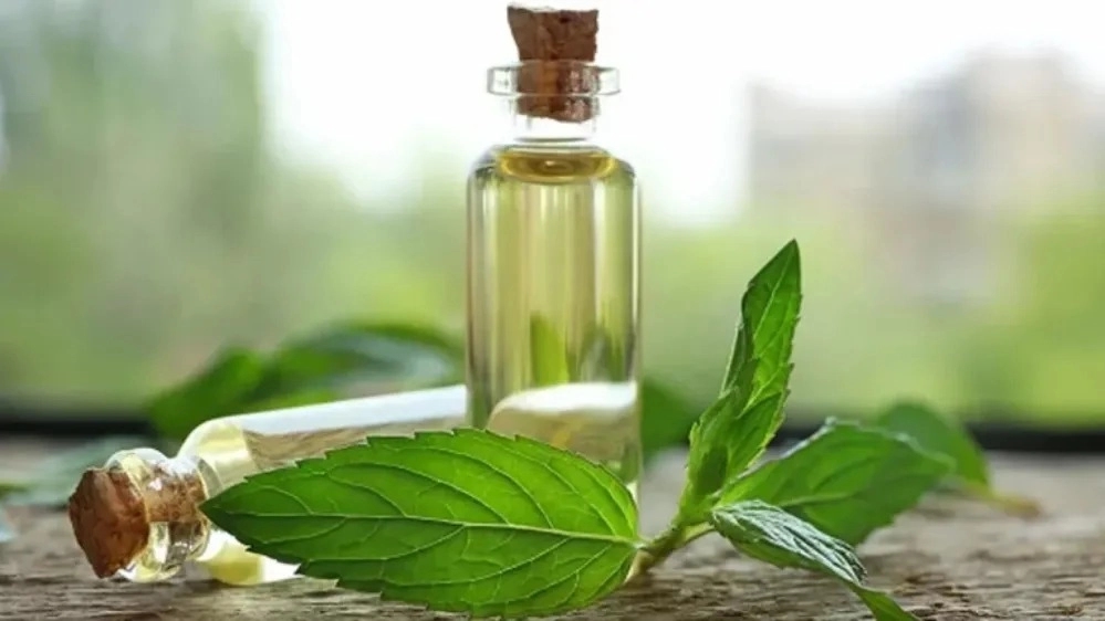 بهترین تولیدکننده اسانس گیاهی در خوزستان