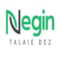 شرکت نگین طلایی دز